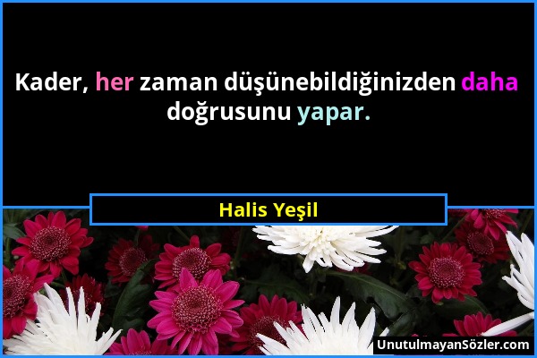 Halis Yeşil - Kader, her zaman düşünebildiğinizden daha doğrusunu yapar....