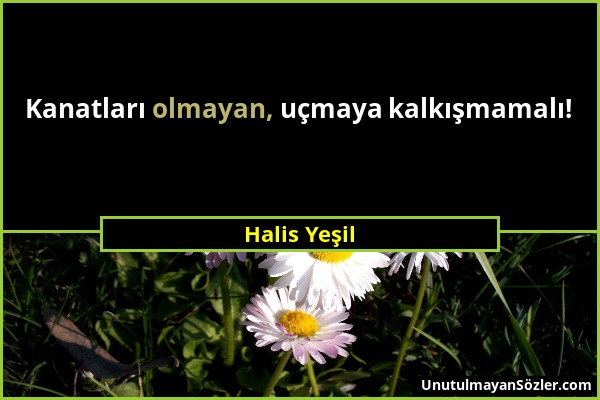 Halis Yeşil - Kanatları olmayan, uçmaya kalkışmamalı!...