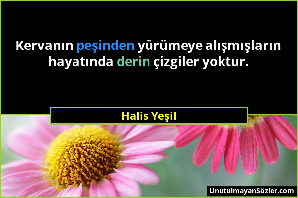 Halis Yeşil - Kervanın peşinden yürümeye alışmışların hayatında derin çizgiler yoktur....