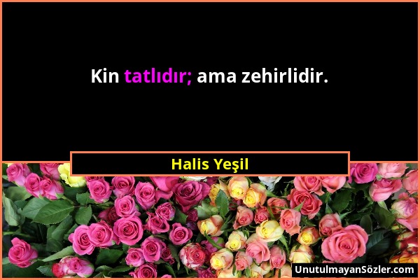 Halis Yeşil - Kin tatlıdır; ama zehirlidir....