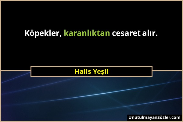 Halis Yeşil - Köpekler, karanlıktan cesaret alır....