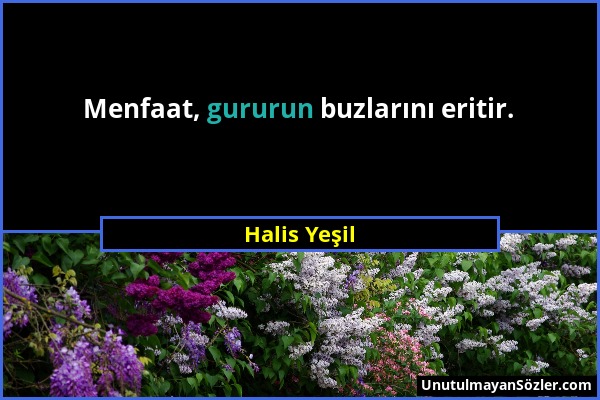 Halis Yeşil - Menfaat, gururun buzlarını eritir....