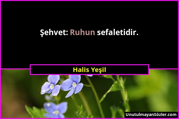 Halis Yeşil - Şehvet: Ruhun sefaletidir....