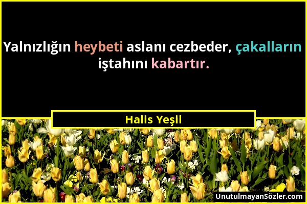 Halis Yeşil - Yalnızlığın heybeti aslanı cezbeder, çakalların iştahını kabartır....