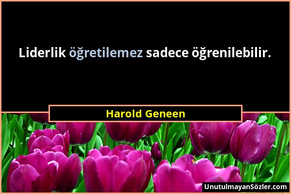 Harold Geneen - Liderlik öğretilemez sadece öğrenilebilir....