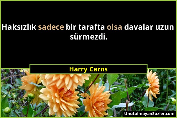 Harry Carns - Haksızlık sadece bir tarafta olsa davalar uzun sürmezdi....