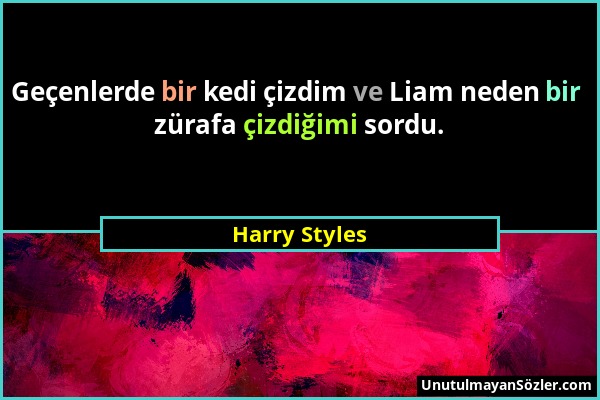 Harry Styles - Geçenlerde bir kedi çizdim ve Liam neden bir zürafa çizdiğimi sordu....