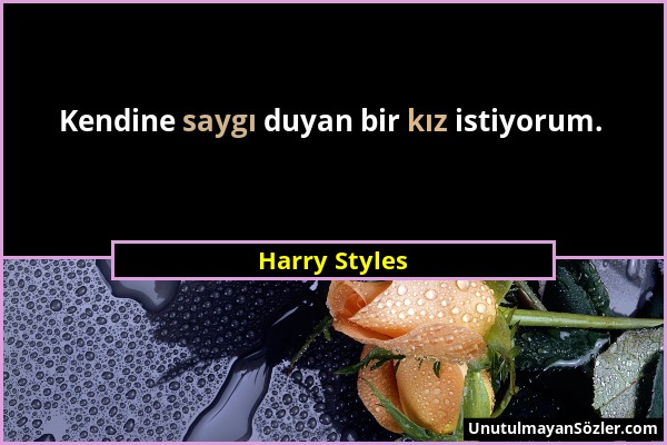 Harry Styles - Kendine saygı duyan bir kız istiyorum....