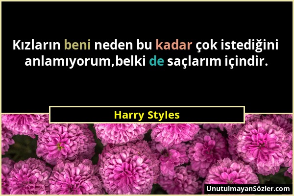 Harry Styles - Kızların beni neden bu kadar çok istediğini anlamıyorum,belki de saçlarım içindir....