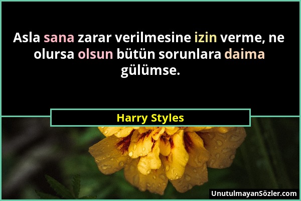 Harry Styles - Asla sana zarar verilmesine izin verme, ne olursa olsun bütün sorunlara daima gülümse....