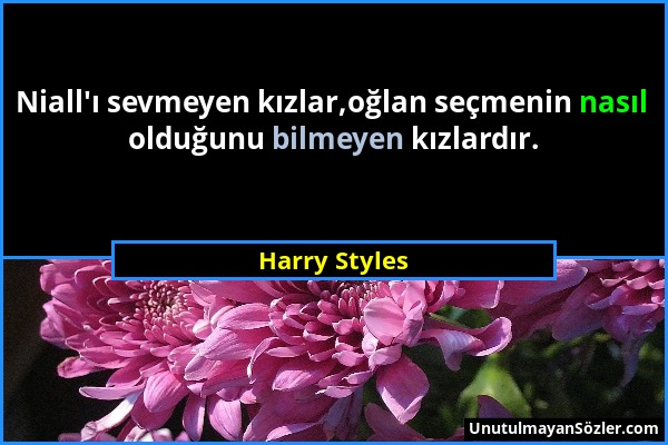 Harry Styles - Niall'ı sevmeyen kızlar,oğlan seçmenin nasıl olduğunu bilmeyen kızlardır....