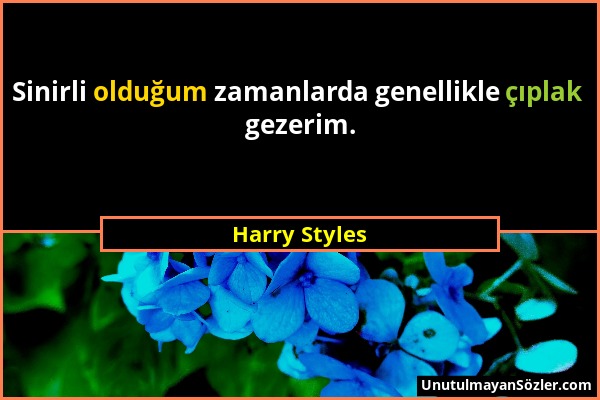 Harry Styles - Sinirli olduğum zamanlarda genellikle çıplak gezerim....