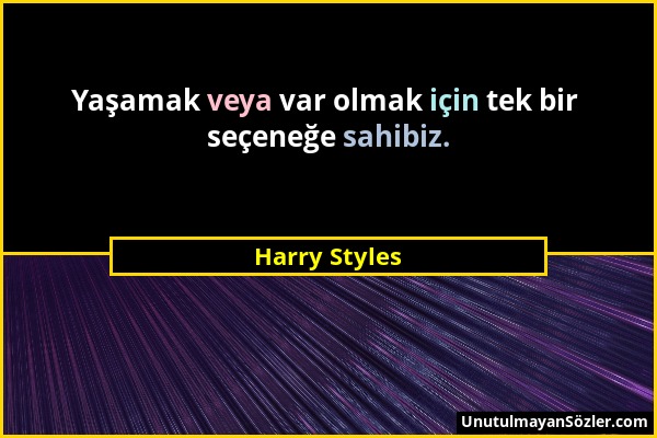 Harry Styles - Yaşamak veya var olmak için tek bir seçeneğe sahibiz....