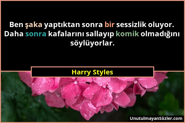 Harry Styles - Ben şaka yaptıktan sonra bir sessizlik oluyor. Daha sonra kafalarını sallayıp komik olmadığını söylüyorlar....