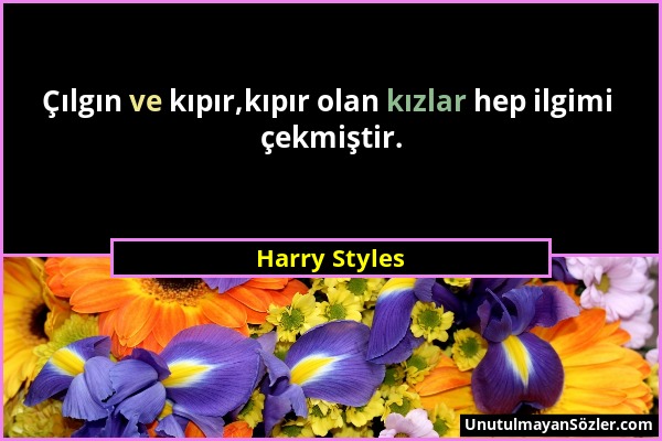 Harry Styles - Çılgın ve kıpır,kıpır olan kızlar hep ilgimi çekmiştir....