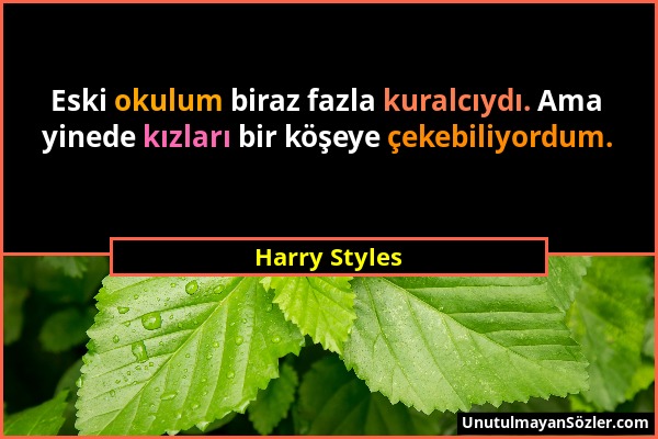 Harry Styles - Eski okulum biraz fazla kuralcıydı. Ama yinede kızları bir köşeye çekebiliyordum....