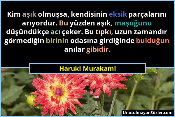 Haruki Murakami - Kim aşık olmuşsa, kendisinin eksik parçalarını arıyordur. Bu yüzden aşık, maşuğunu düşündükçe acı çeker. Bu tıpkı, uzun zamandır gör...