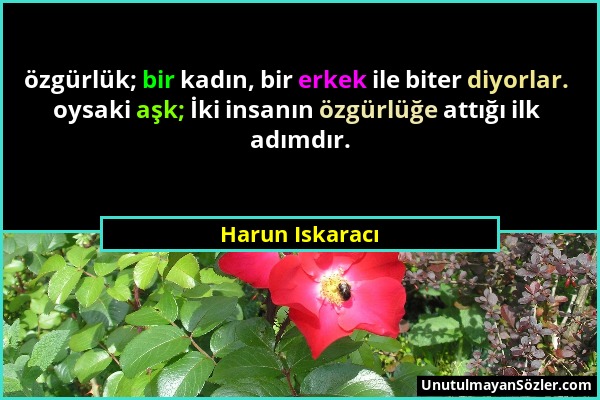 Harun Iskaracı - özgürlük; bir kadın, bir erkek ile biter diyorlar. oysaki aşk; İki insanın özgürlüğe attığı ilk adımdır....