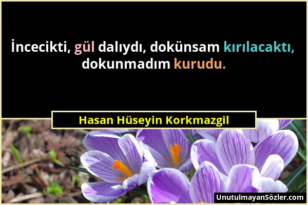 Hasan Hüseyin Korkmazgil - İncecikti, gül dalıydı, dokünsam kırılacaktı, dokunmadım kurudu....