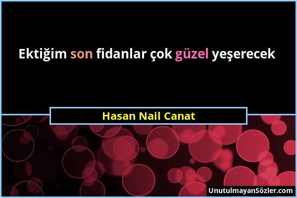 Hasan Nail Canat - Ektiğim son fidanlar çok güzel yeşerecek...