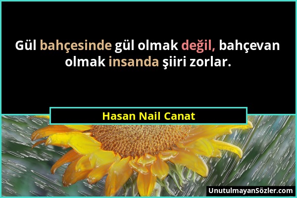 Hasan Nail Canat - Gül bahçesinde gül olmak değil, bahçevan olmak insanda şiiri zorlar....