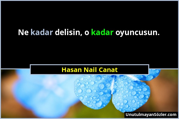 Hasan Nail Canat - Ne kadar delisin, o kadar oyuncusun....