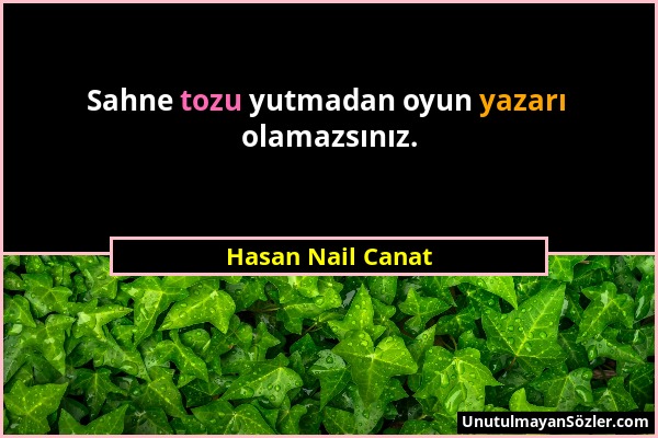 Hasan Nail Canat - Sahne tozu yutmadan oyun yazarı olamazsınız....