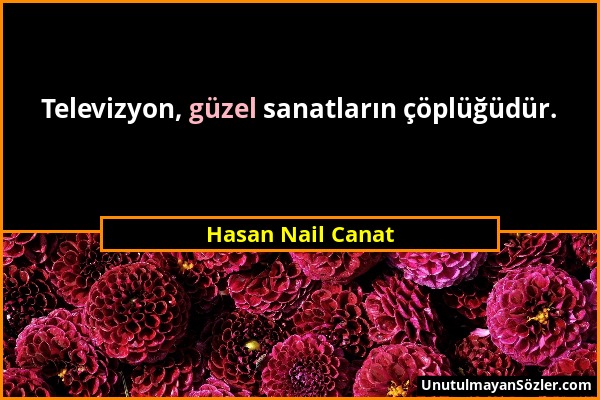 Hasan Nail Canat - Televizyon, güzel sanatların çöplüğüdür....