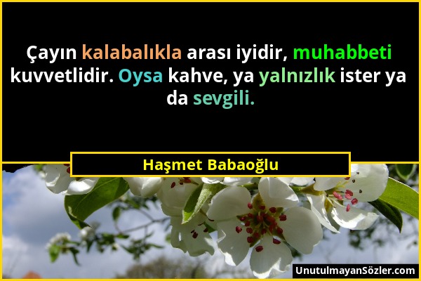 Haşmet Babaoğlu - Çayın kalabalıkla arası iyidir, muhabbeti kuvvetlidir. Oysa kahve, ya yalnızlık ister ya da sevgili....