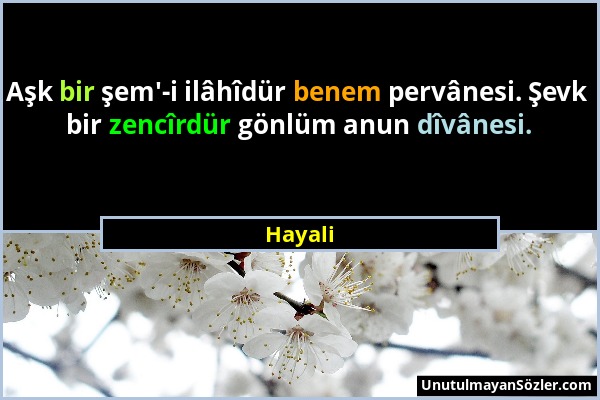 Hayali - Aşk bir şem'-i ilâhîdür benem pervânesi. Şevk bir zencîrdür gönlüm anun dîvânesi....