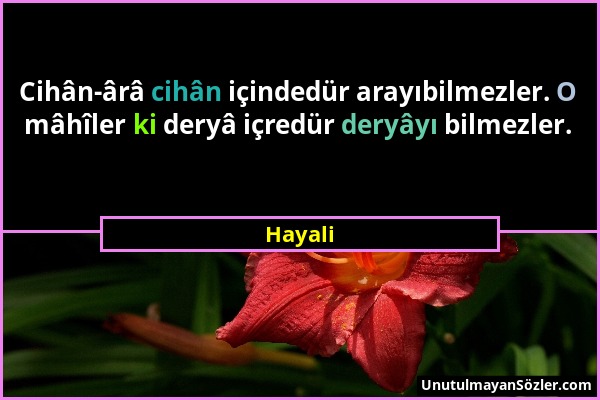 Hayali - Cihân-ârâ cihân içindedür arayıbilmezler. O mâhîler ki deryâ içredür deryâyı bilmezler....