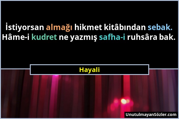 Hayali - İstiyorsan almağı hikmet kitâbından sebak. Hâme-i kudret ne yazmış safha-i ruhsâra bak....