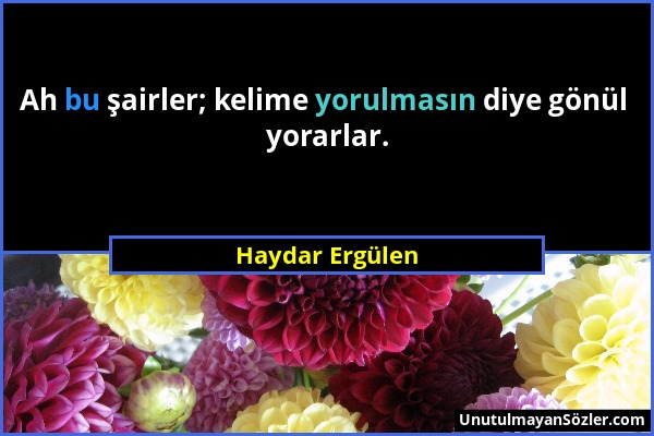 Haydar Ergülen - Ah bu şairler; kelime yorulmasın diye gönül yorarlar....