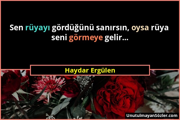 Haydar Ergülen - Sen rüyayı gördüğünü sanırsın, oysa rüya seni görmeye gelir......