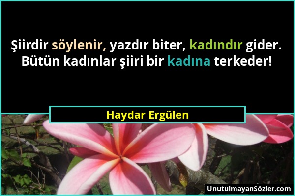 Haydar Ergülen - Şiirdir söylenir, yazdır biter, kadındır gider. Bütün kadınlar şiiri bir kadına terkeder!...