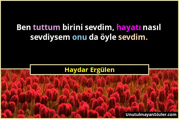 Haydar Ergülen - Ben tuttum birini sevdim, hayatı nasıl sevdiysem onu da öyle sevdim....