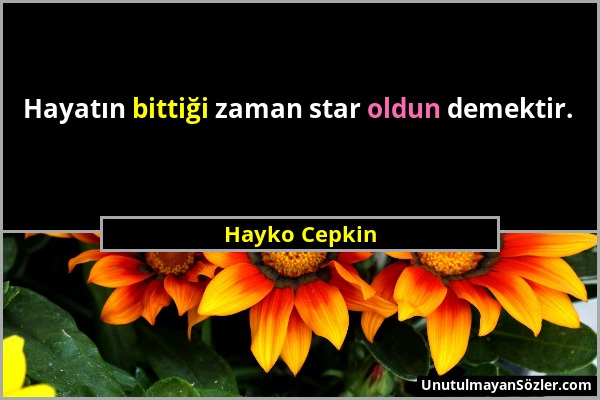 Hayko Cepkin - Hayatın bittiği zaman star oldun demektir....