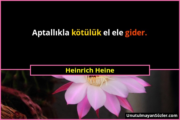 Heinrich Heine - Aptallıkla kötülük el ele gider....