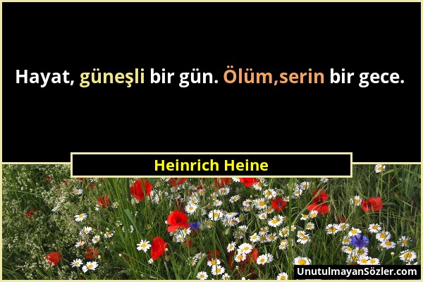 Heinrich Heine - Hayat, güneşli bir gün. Ölüm,serin bir gece....