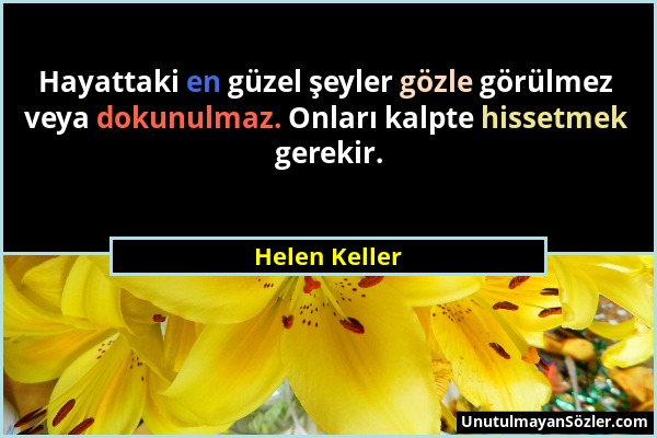 Helen Keller - Hayattaki en güzel şeyler gözle görülmez veya dokunulmaz. Onları kalpte hissetmek gerekir....
