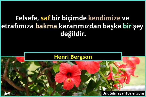 Henri Bergson - Felsefe, saf bir biçimde kendimize ve etrafımıza bakma kararımızdan başka bir şey değildir....