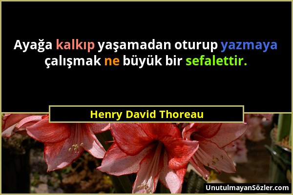 Henry David Thoreau - Ayağa kalkıp yaşamadan oturup yazmaya çalışmak ne büyük bir sefalettir....