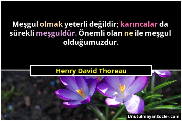 Henry David Thoreau - Meşgul olmak yeterli değildir; karıncalar da sürekli meşguldür. Önemli olan ne ile meşgul olduğumuzdur....