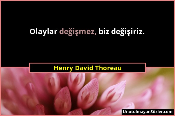 Henry David Thoreau - Olaylar değişmez, biz değişiriz....