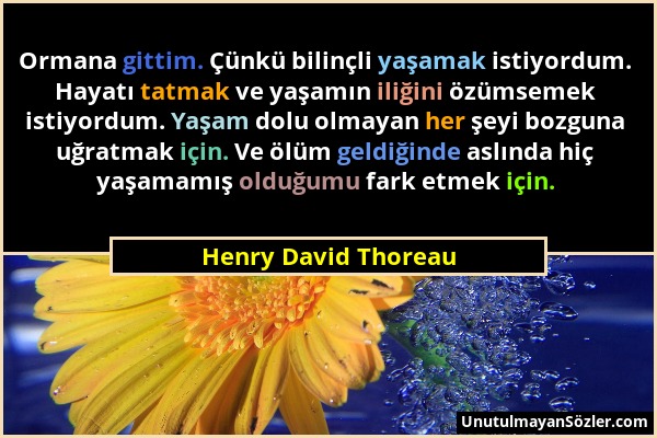 Henry David Thoreau - Ormana gittim. Çünkü bilinçli yaşamak istiyordum. Hayatı tatmak ve yaşamın iliğini özümsemek istiyordum. Yaşam dolu olmayan her...