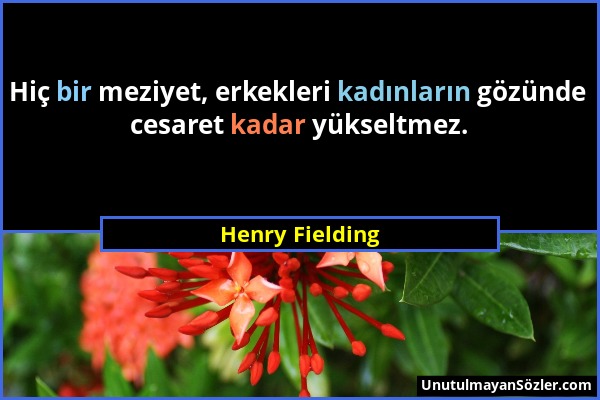 Henry Fielding - Hiç bir meziyet, erkekleri kadınların gözünde cesaret kadar yükseltmez....