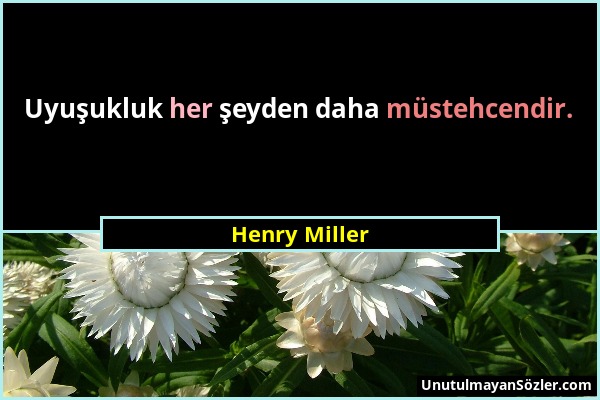 Henry Miller - Uyuşukluk her şeyden daha müstehcendir....