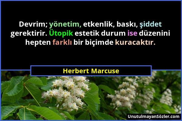 Herbert Marcuse - Devrim; yönetim, etkenlik, baskı, şiddet gerektirir. Ütopik estetik durum ise düzenini hepten farklı bir biçimde kuracaktır....