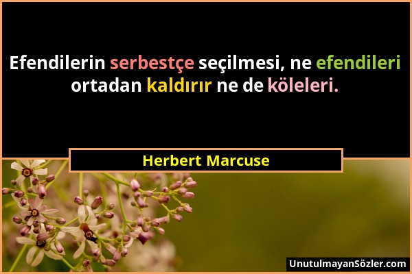 Herbert Marcuse - Efendilerin serbestçe seçilmesi, ne efendileri ortadan kaldırır ne de köleleri....