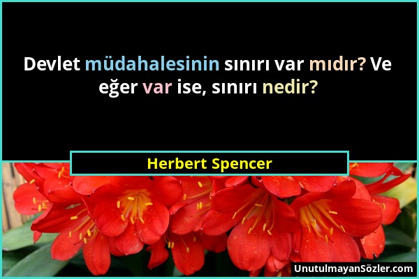 Herbert Spencer - Devlet müdahalesinin sınırı var mıdır? Ve eğer var ise, sınırı nedir?...